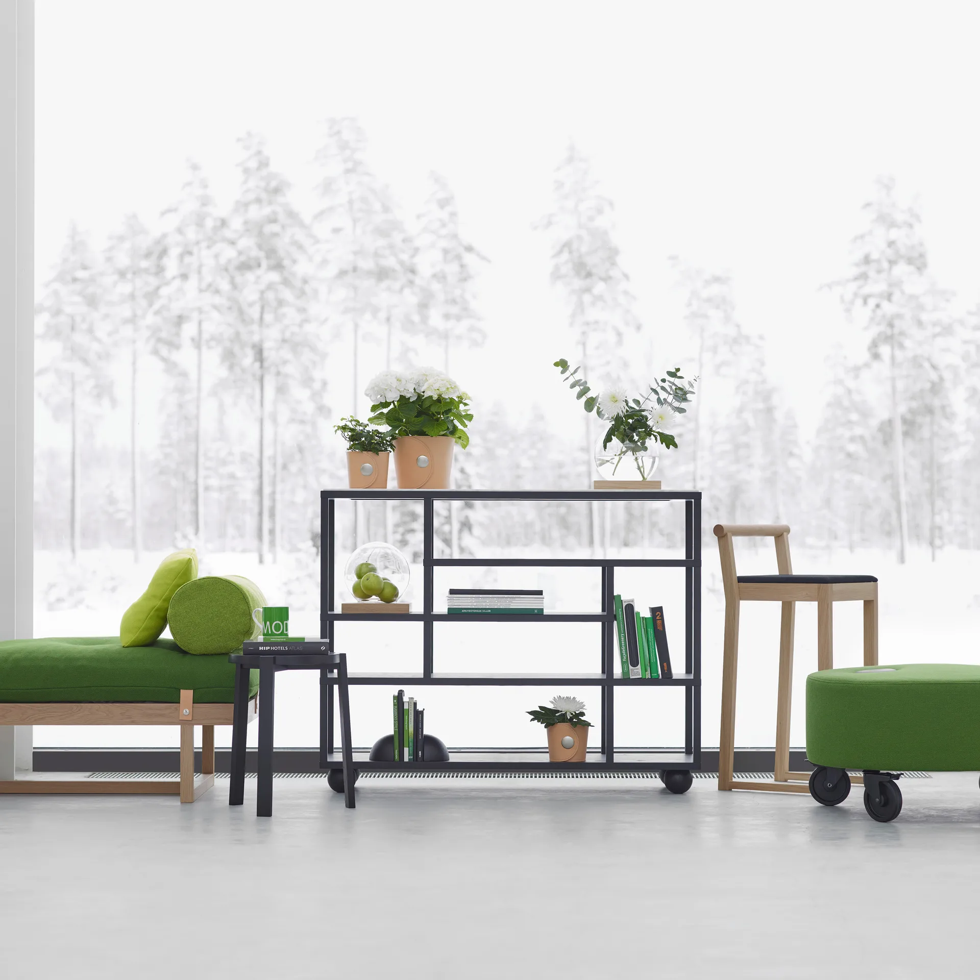 Show rek, Zwartgebeitst eikenhout A2