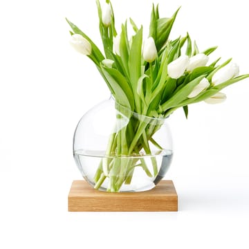 Space decoratie - geolied eikenhout, glas - A2