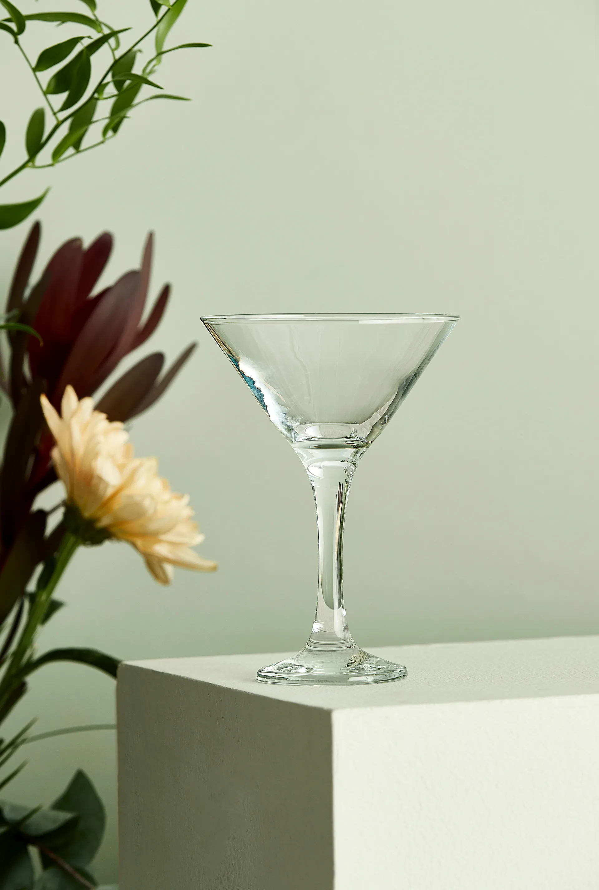 Café martini-/cocktailglas 17,5 cl, Transparant Aida