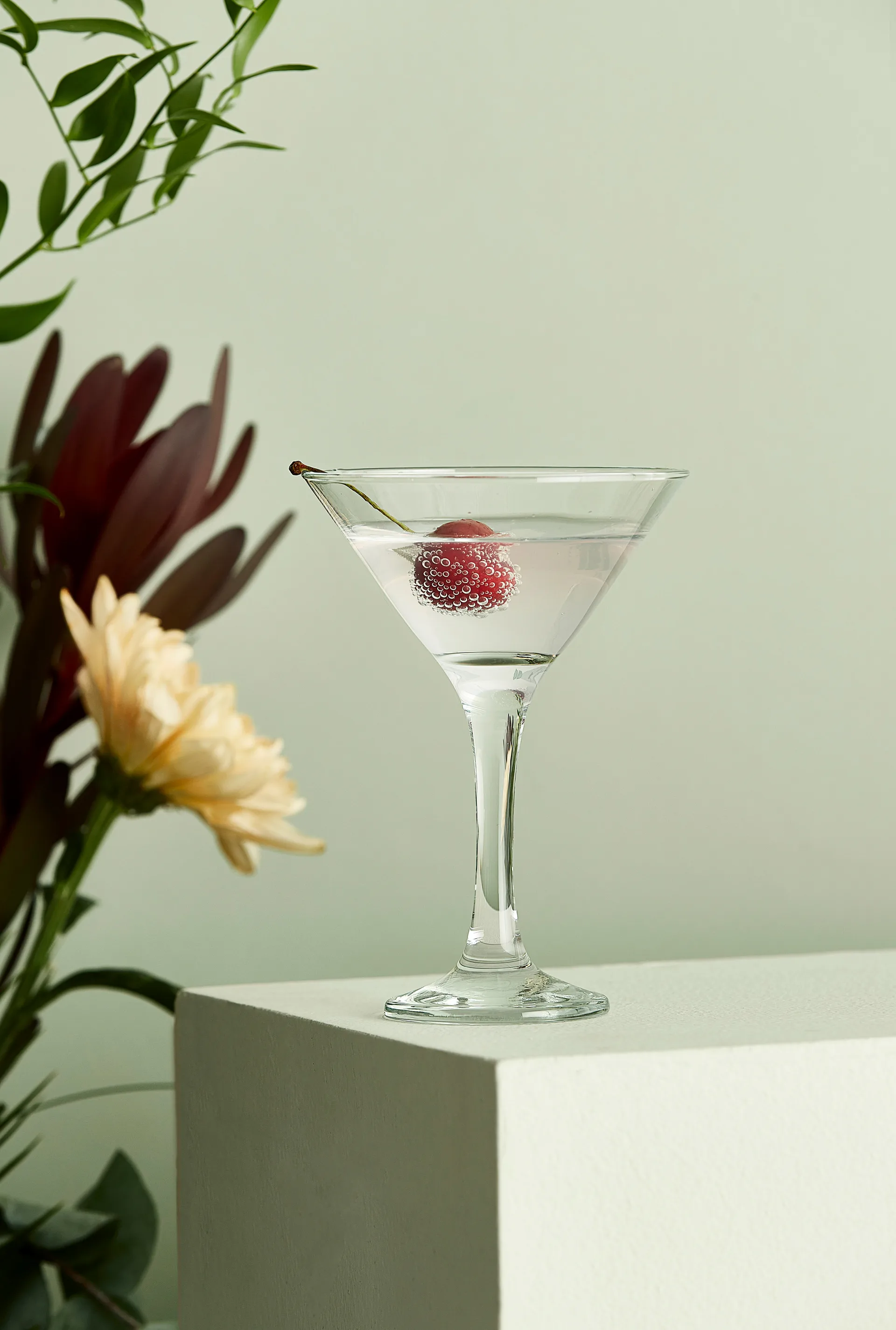 Café martini-/cocktailglas 17,5 cl, Transparant Aida