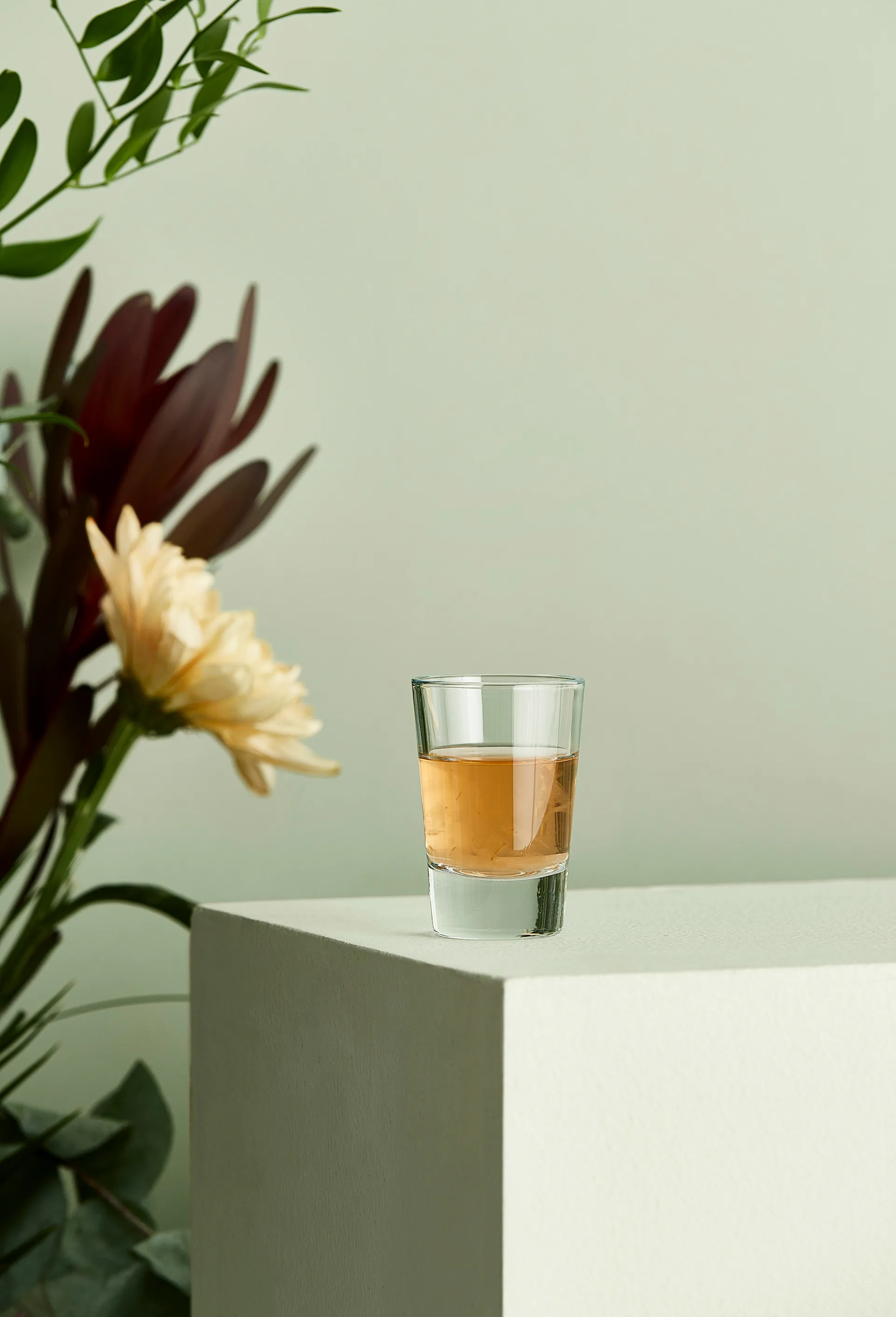 Café shotglas 6,2 cl, Transparant Aida