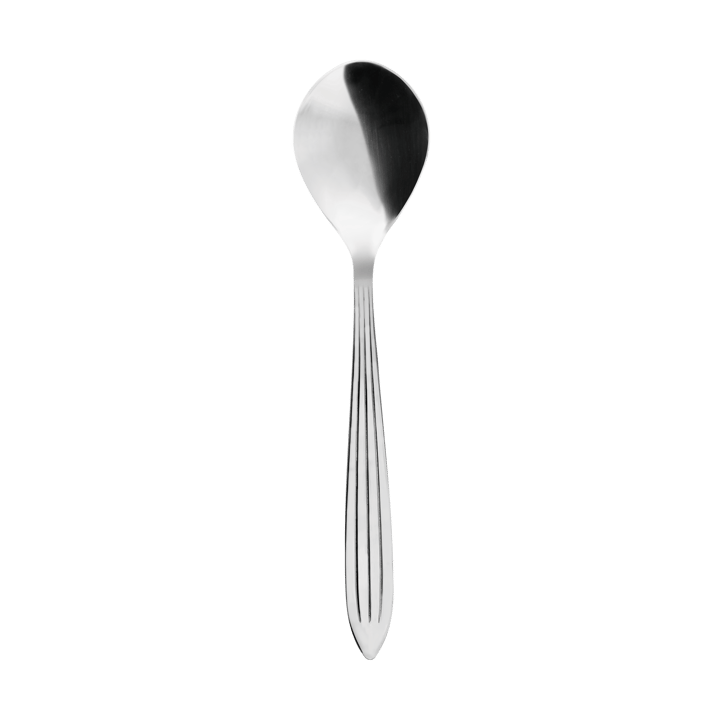 Gastro lepel - Roestvrij staal - Aida