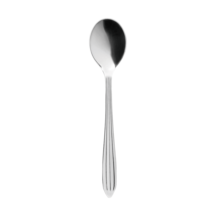 Gastro lepel - Roestvrij staal - Aida