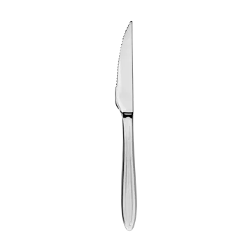 Gastro steakmes - Roestvrij staal - Aida