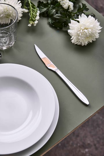 Gastro steakmes - Roestvrij staal - Aida