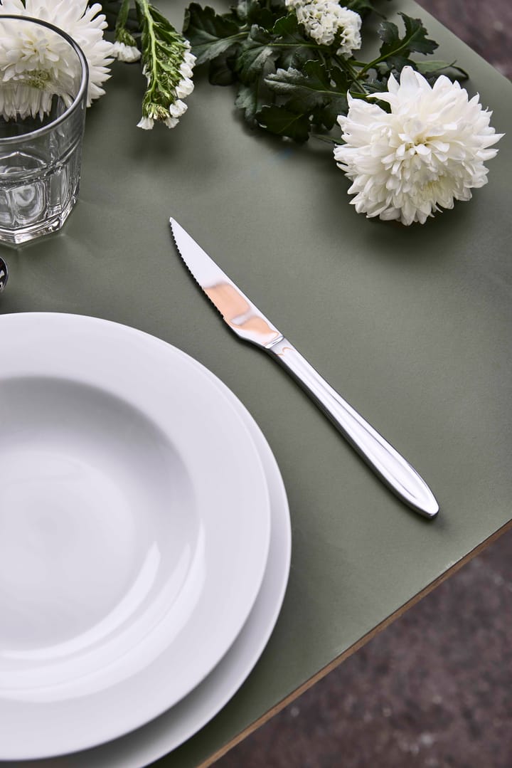 Gastro steakmes, Roestvrij staal Aida