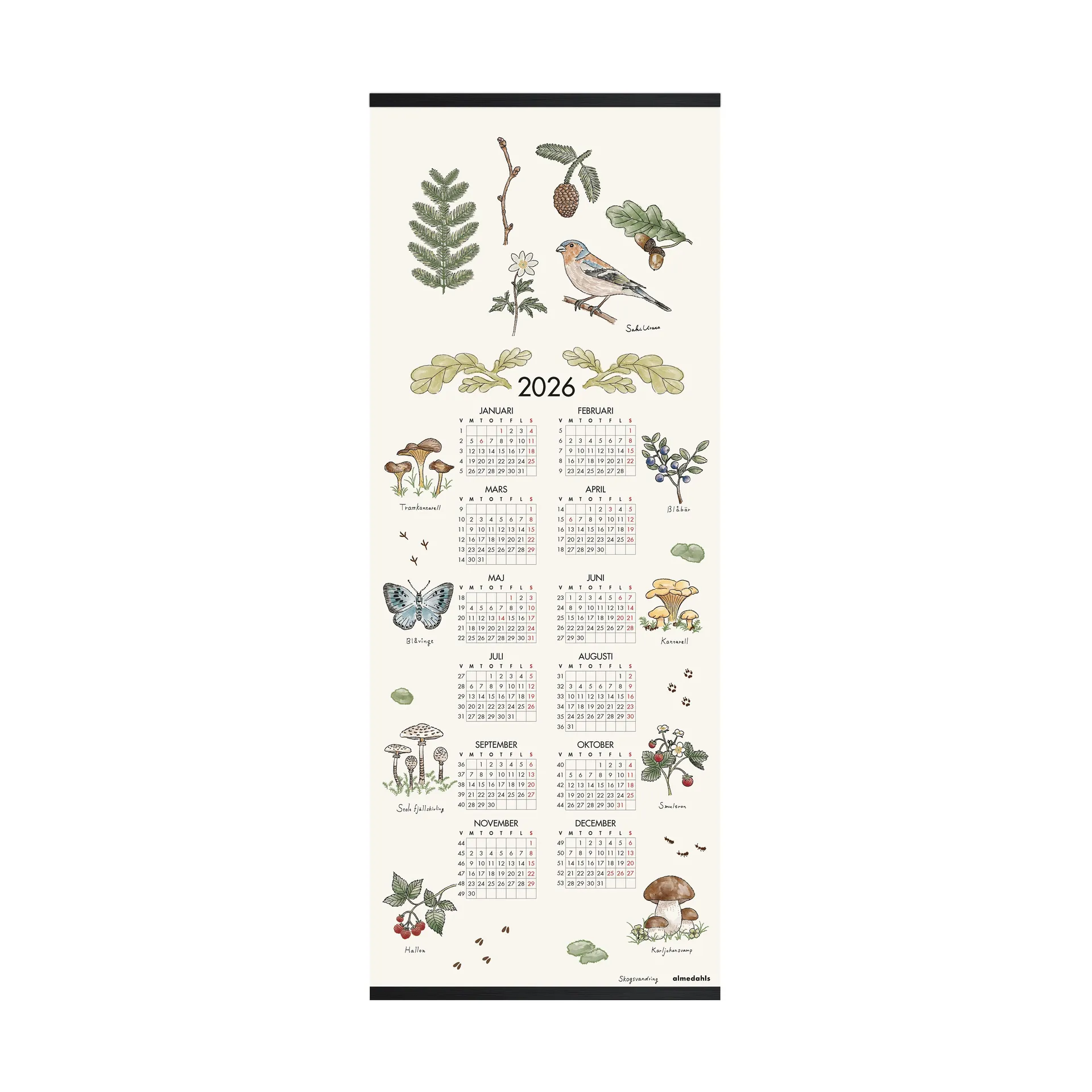 Boswandeling kalender 2026, 35x90 cm Almedahls