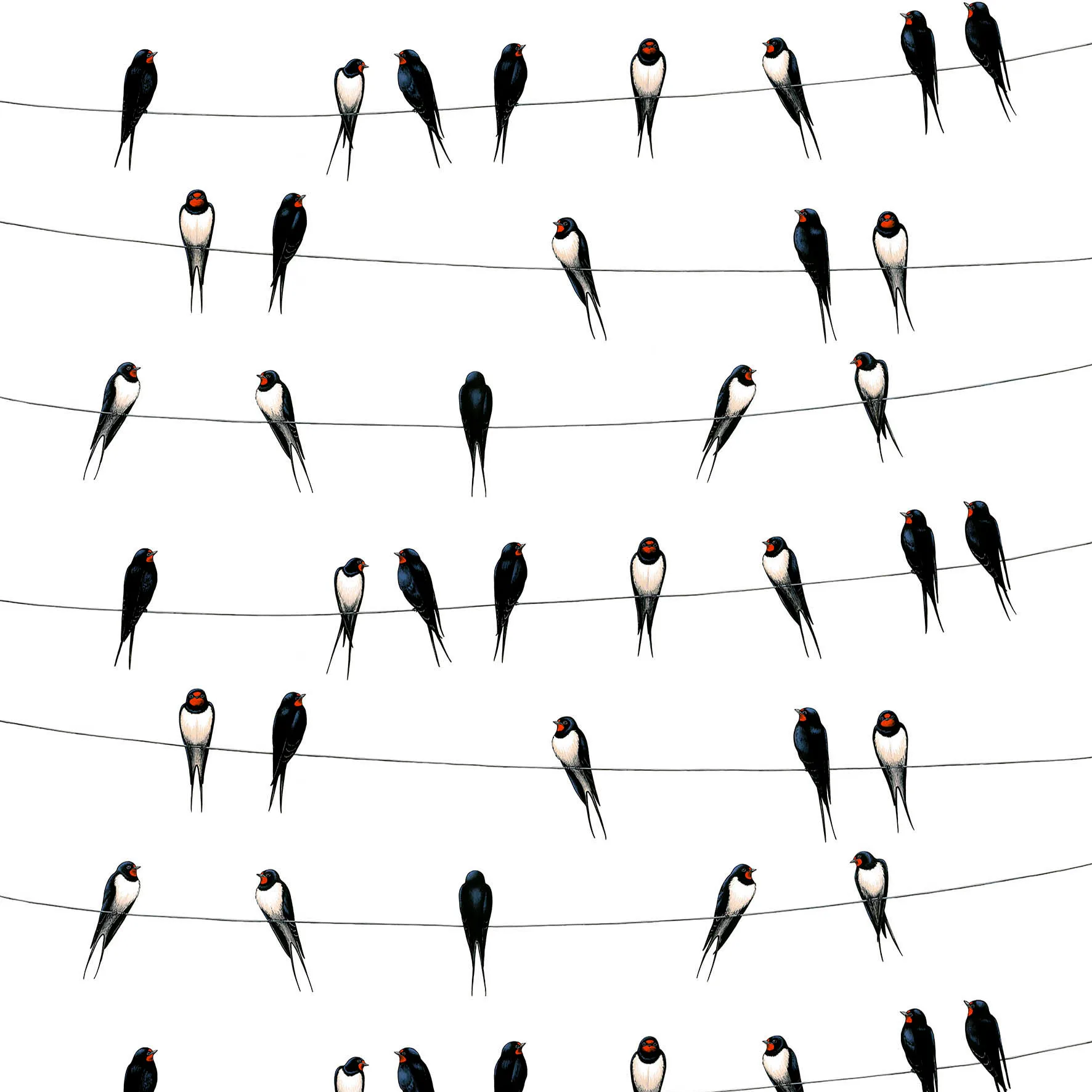 Ladusvalor stof, wit Arvidssons Textil