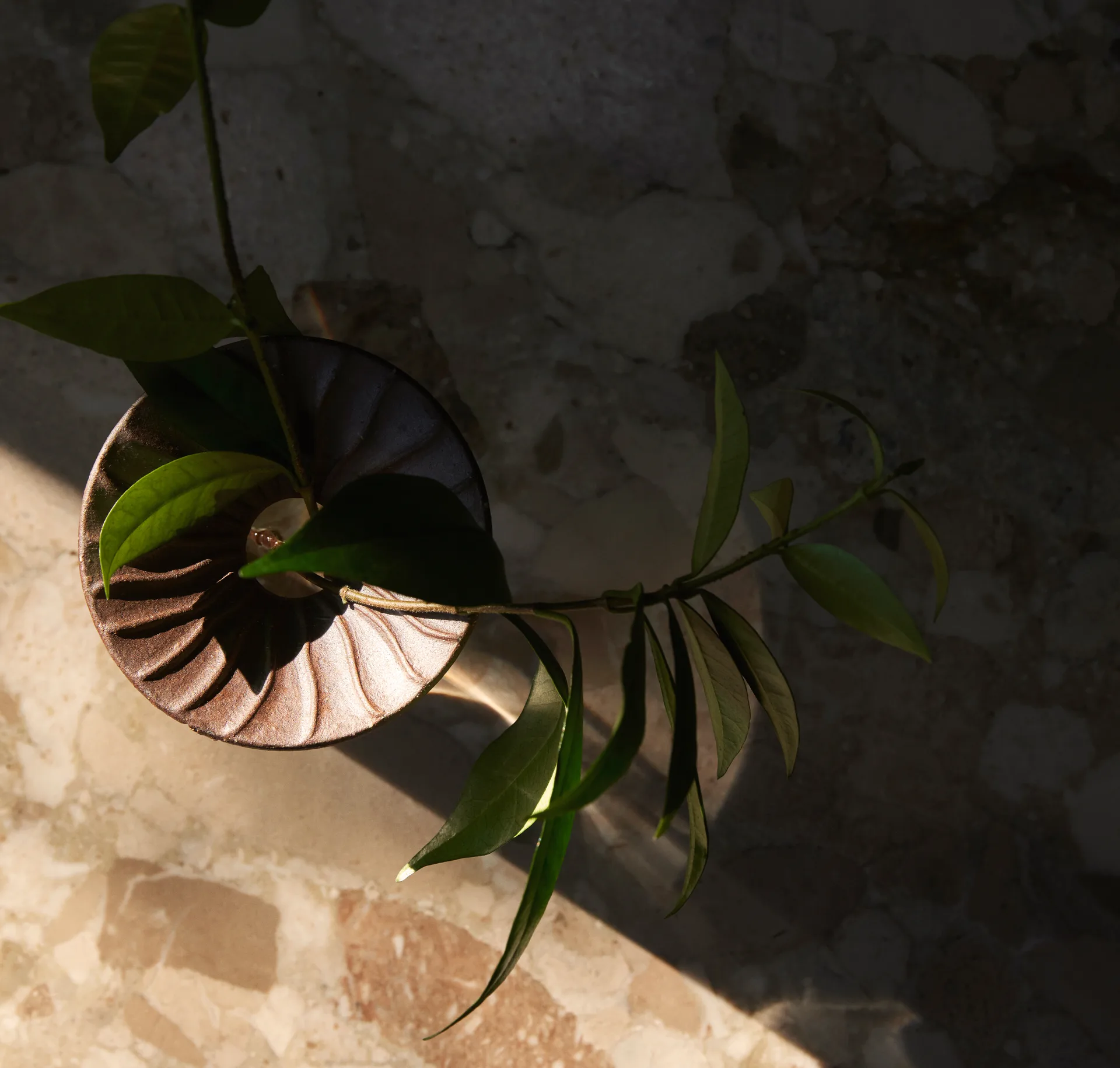 Cresco Propagation vaas 2-delig, Bruin-transparant Audo Copenhagen