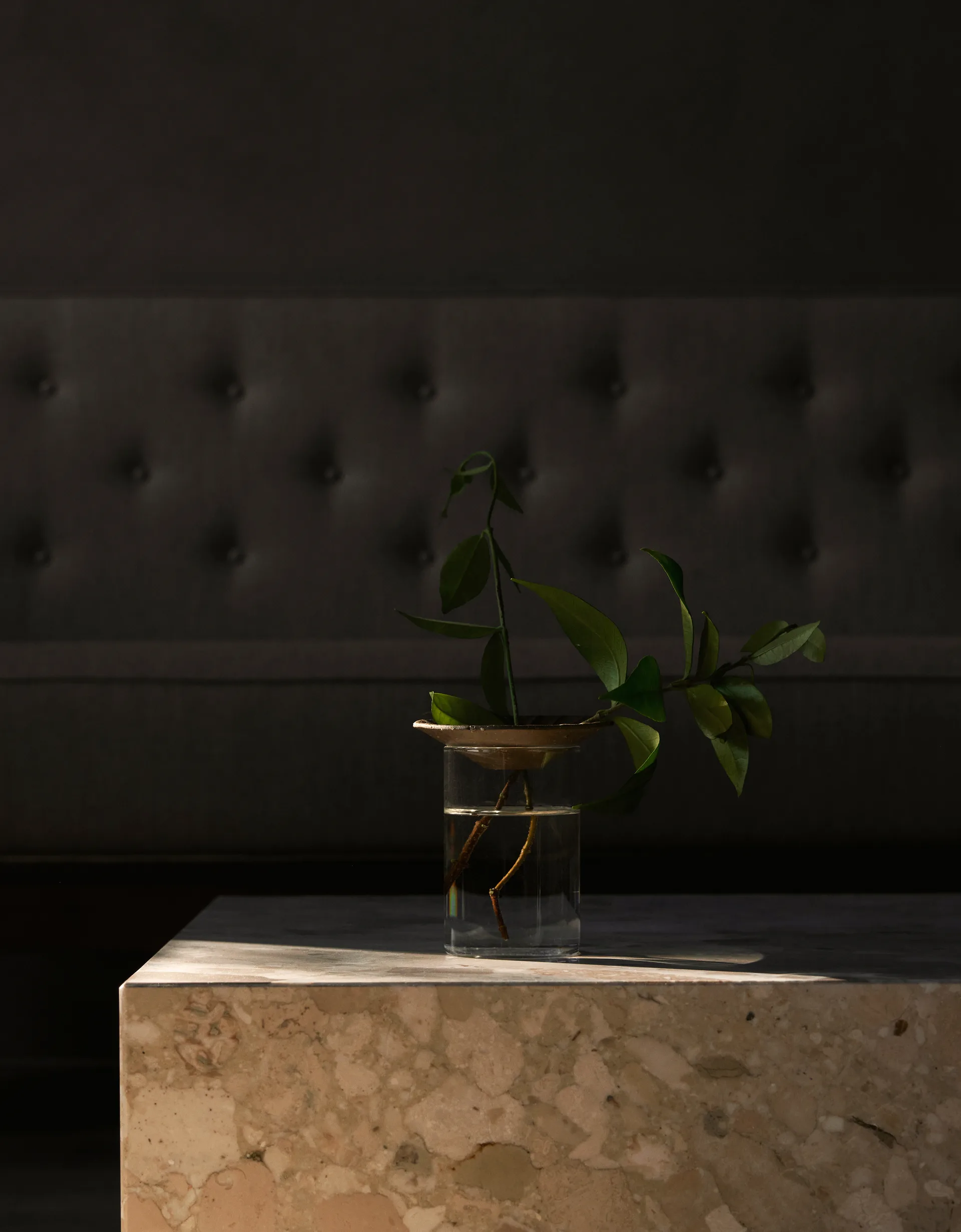 Cresco Propagation vaas 2-delig, Bruin-transparant Audo Copenhagen