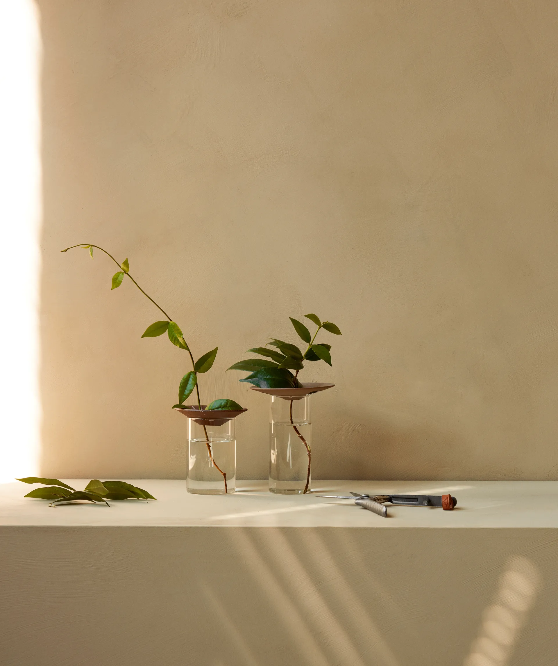 Cresco Propagation vaas 2-delig, Bruin-transparant Audo Copenhagen