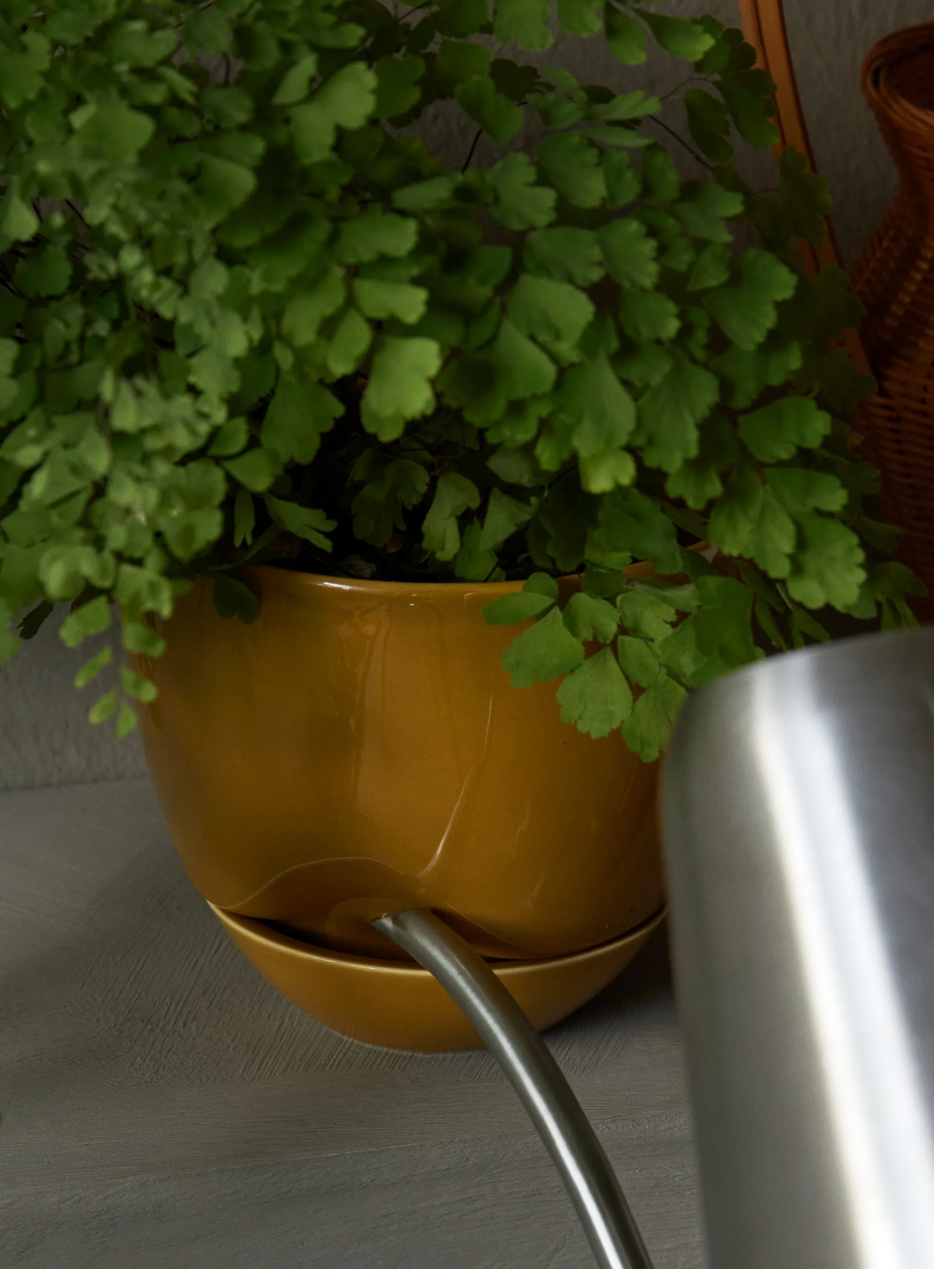 Hydrous bloempot Ø12 cm, Ochre Audo Copenhagen