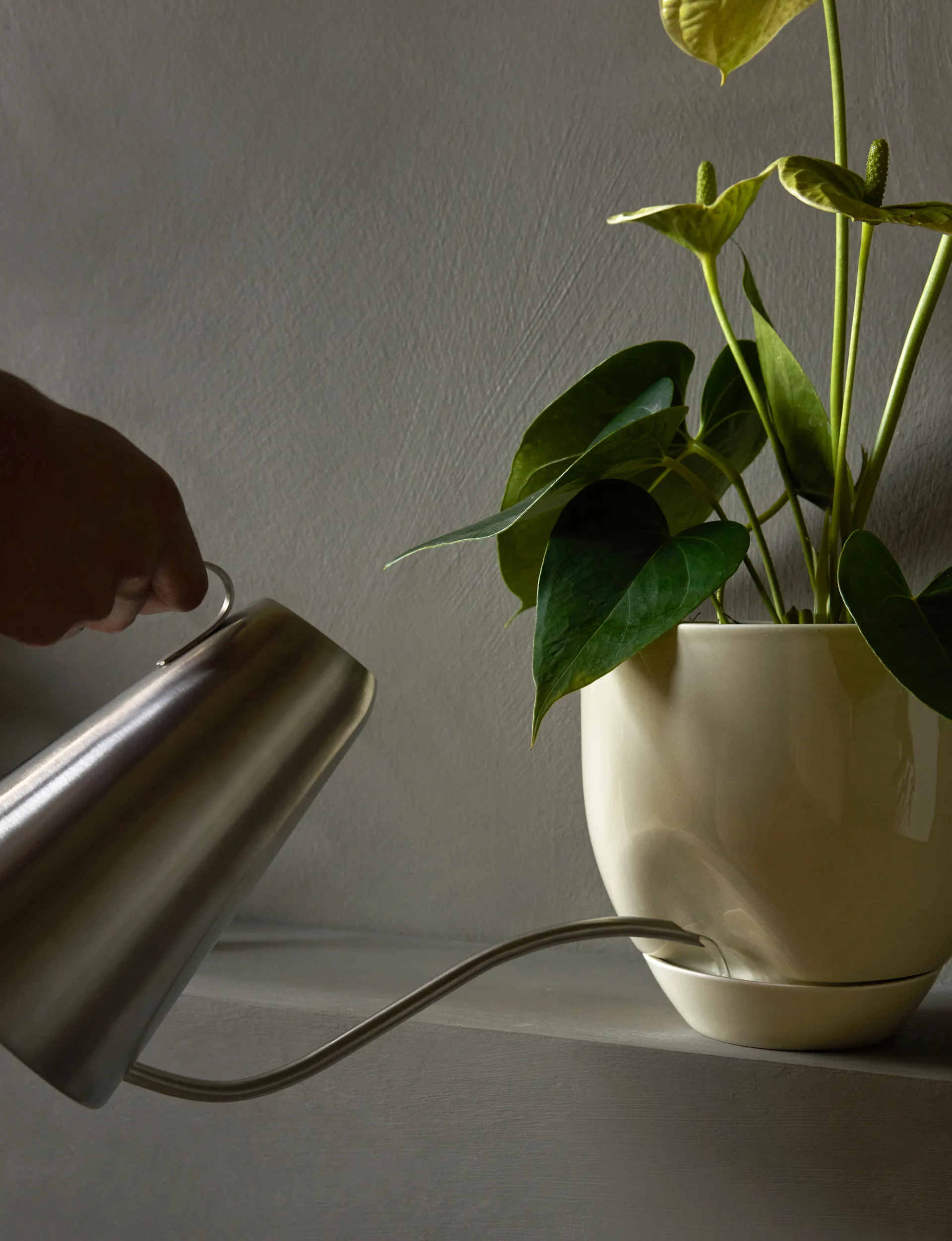 Hydrous bloempot Ø20 cm, Ashen Audo Copenhagen