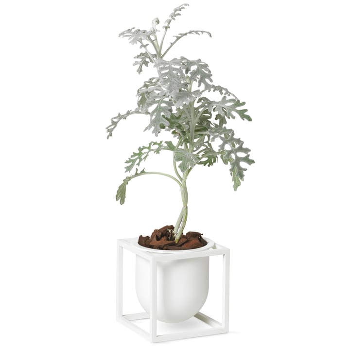 Kubus bloempot 10 cm, Wit Audo Copenhagen