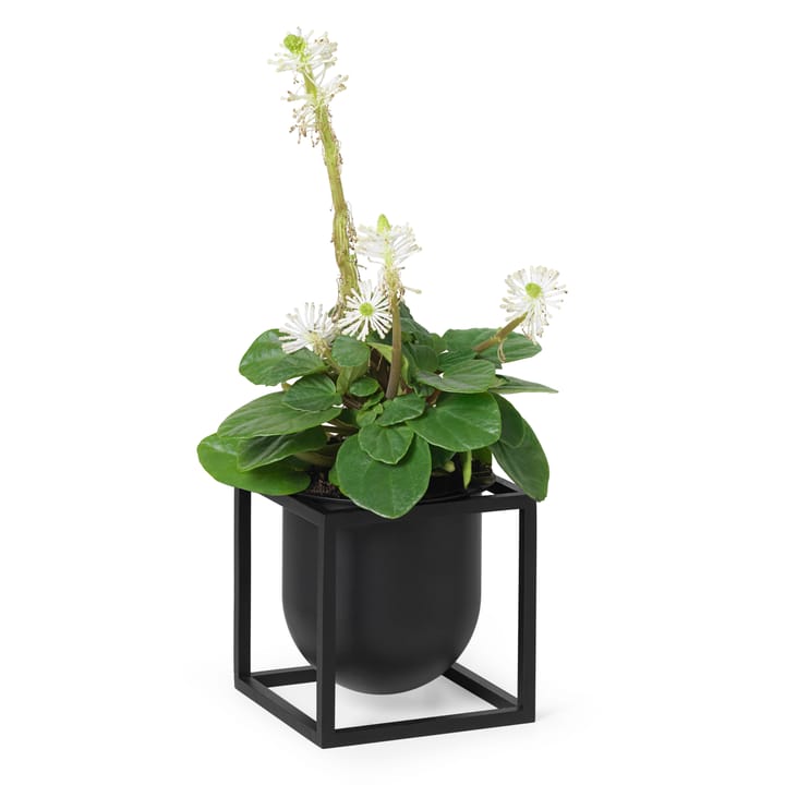 Kubus bloempot 10 cm - Zwart - Audo Copenhagen