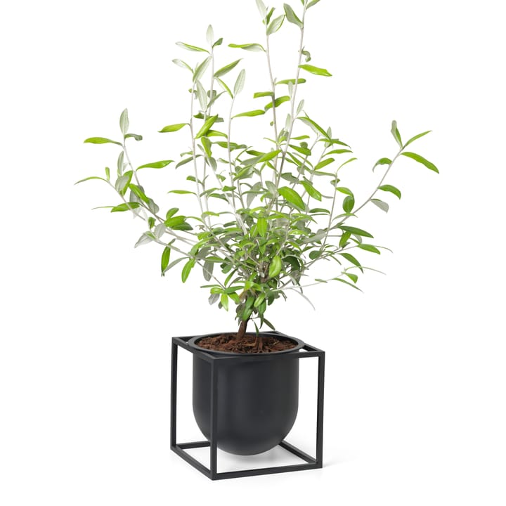Kubus bloempot 14 cm, Zwart Audo Copenhagen