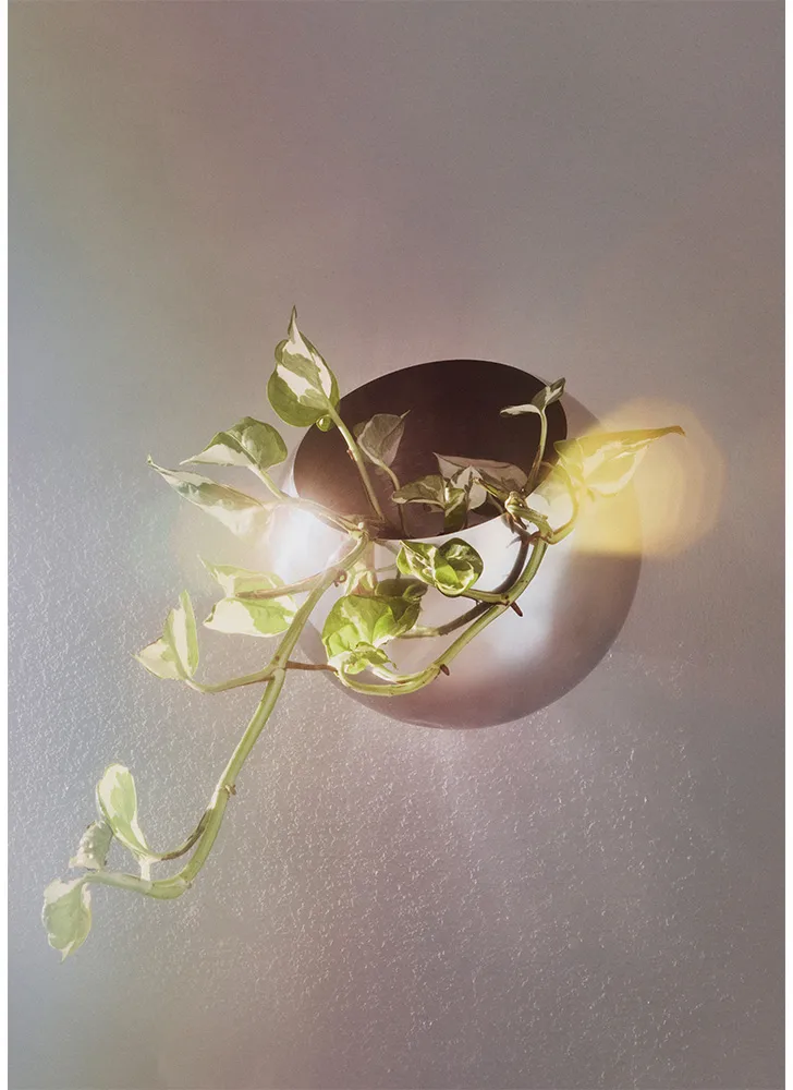 Globe wandbloempot Ø17 cm, Zilverkleurig AYTM