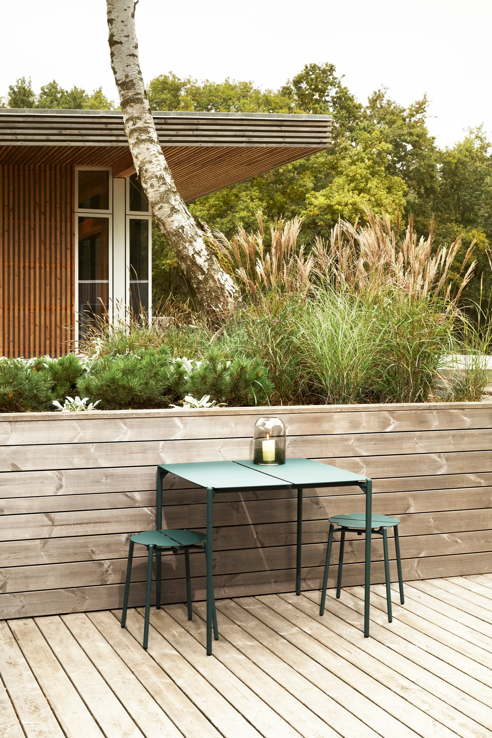 NOVO kruk, forest AYTM