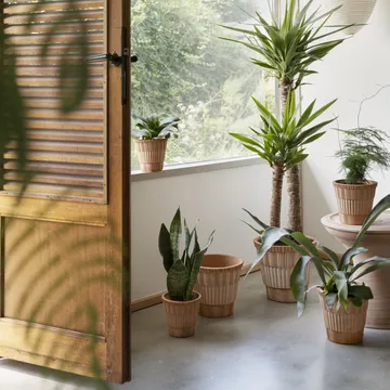 Atlas raw bloempot met schotel - Rosa, Ø14 cm - Bergs Potter