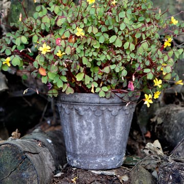 Copenhagen pot Ø16 cm - Grijs - Bergs Potter