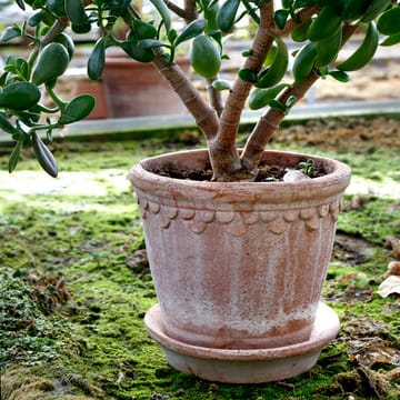 Copenhagen pot 21 cm - Roze - Bergs Potter