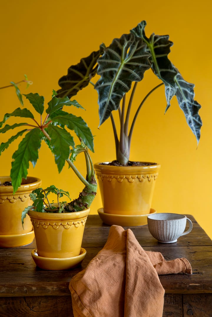 Copenhagen pot geglazuurd Ø14 cm, Geel Bergs Potter