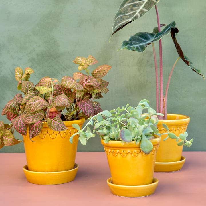 Copenhagen pot geglazuurd Ø16 cm, Geel Bergs Potter