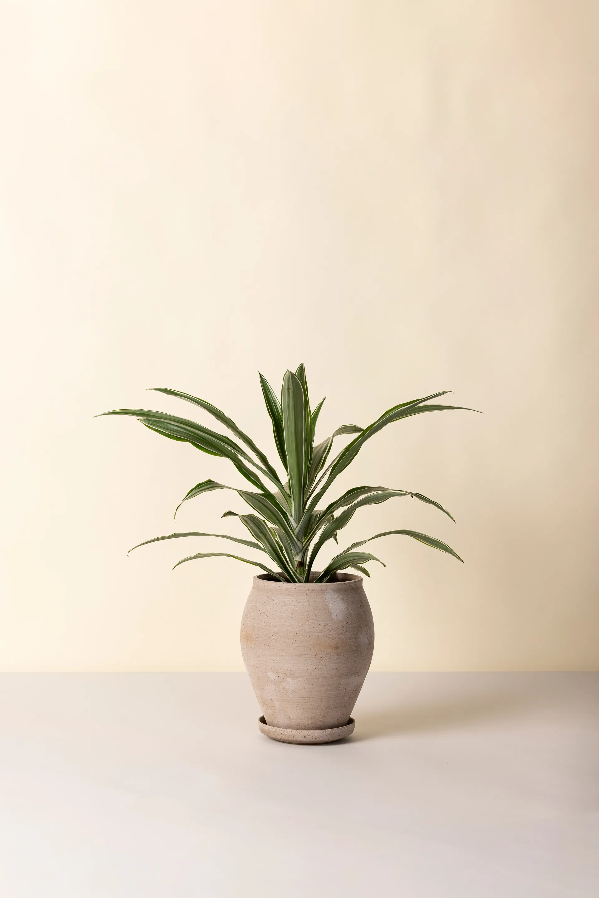 Delphi pot met schotel 2-delig, Grijs, Ø22 cm, hoog Bergs Potter