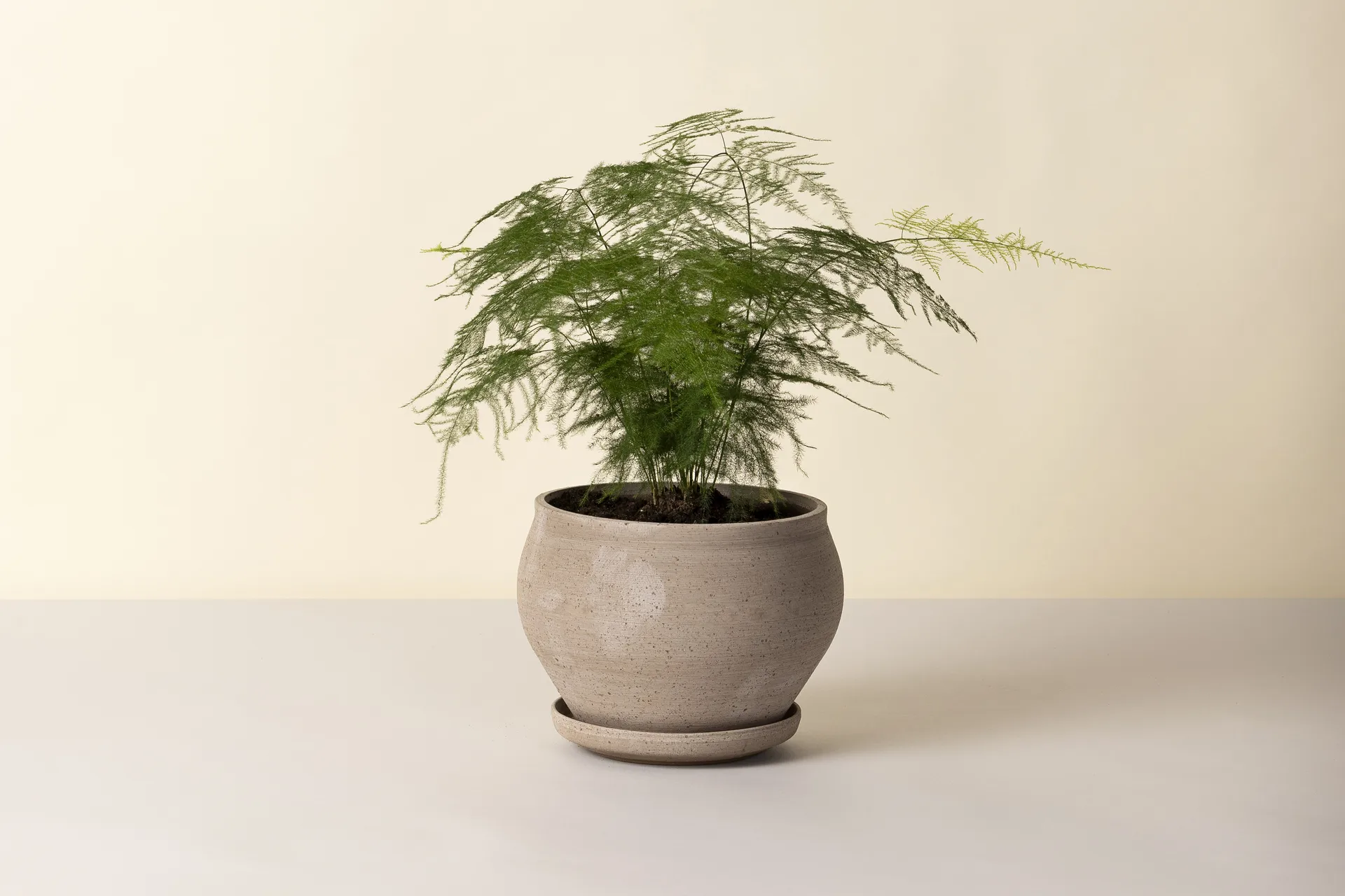 Delphi pot met schotel 2-delig, Grijs, Ø24 cm, laag Bergs Potter