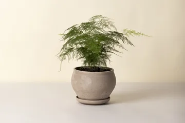 Delphi pot met schotel 2-delig - Grijs, Ø24 cm, laag - Bergs Potter