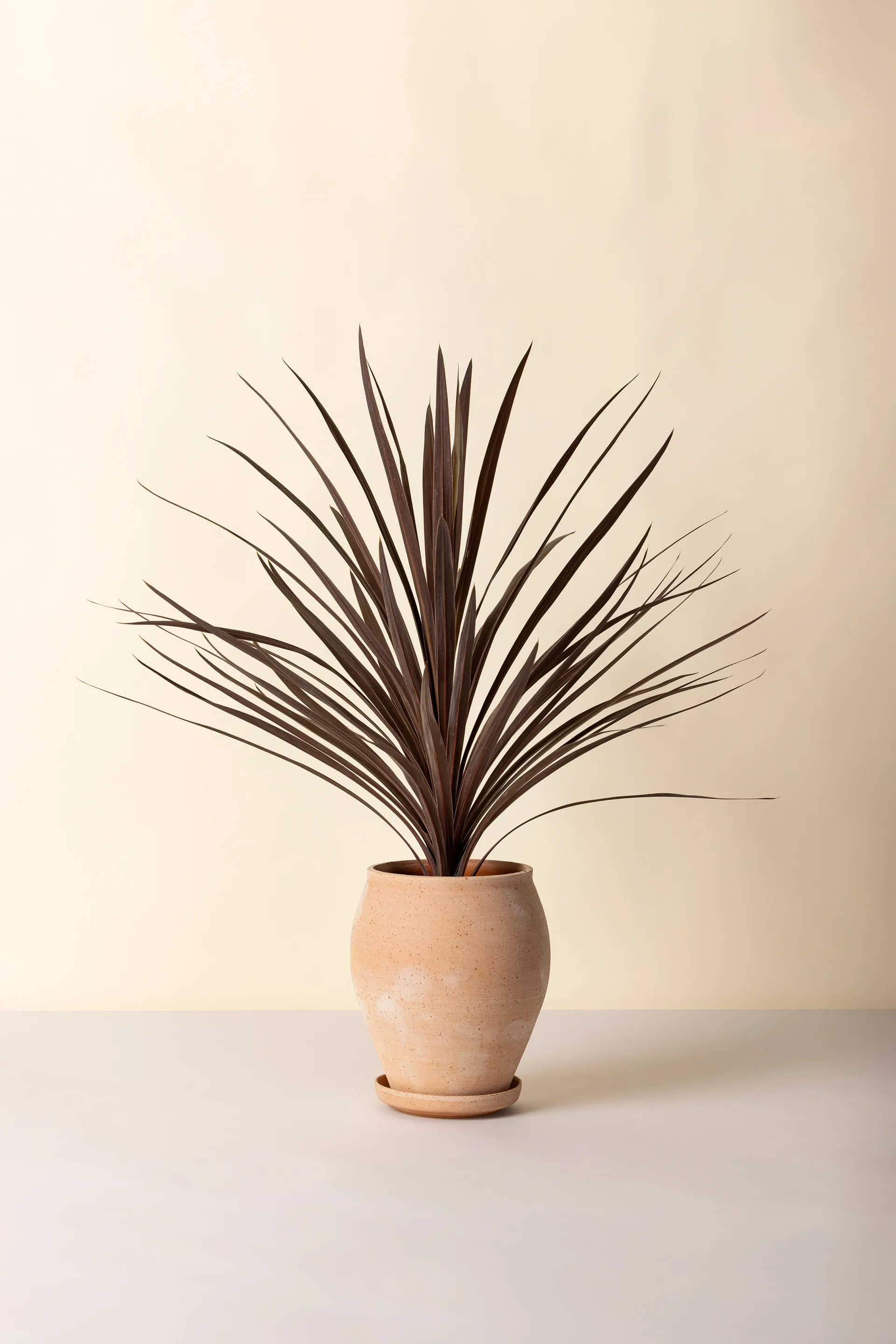 Delphi pot met schotel 2-delig, Roze, Ø22 cm, hoog Bergs Potter