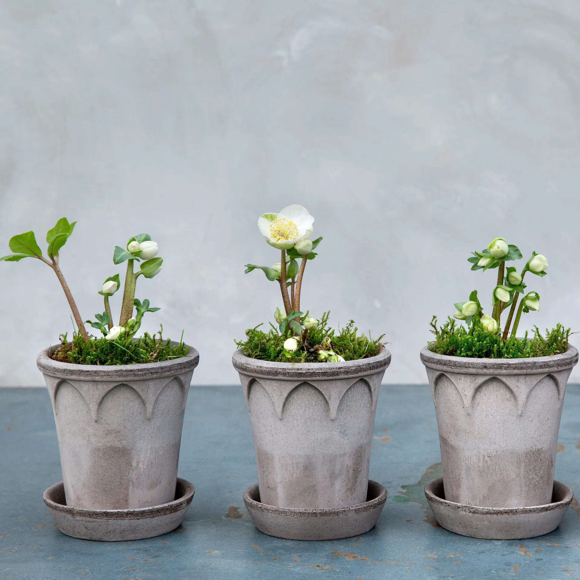 Elizabeth pot Ø12 cm, Grey Bergs Potter