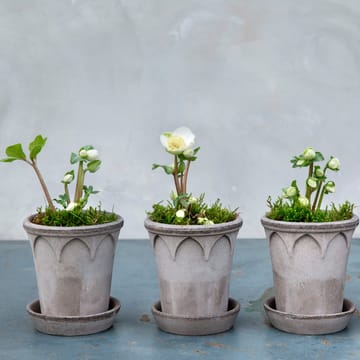 Elizabeth pot Ø14 cm - Grey - Bergs Potter
