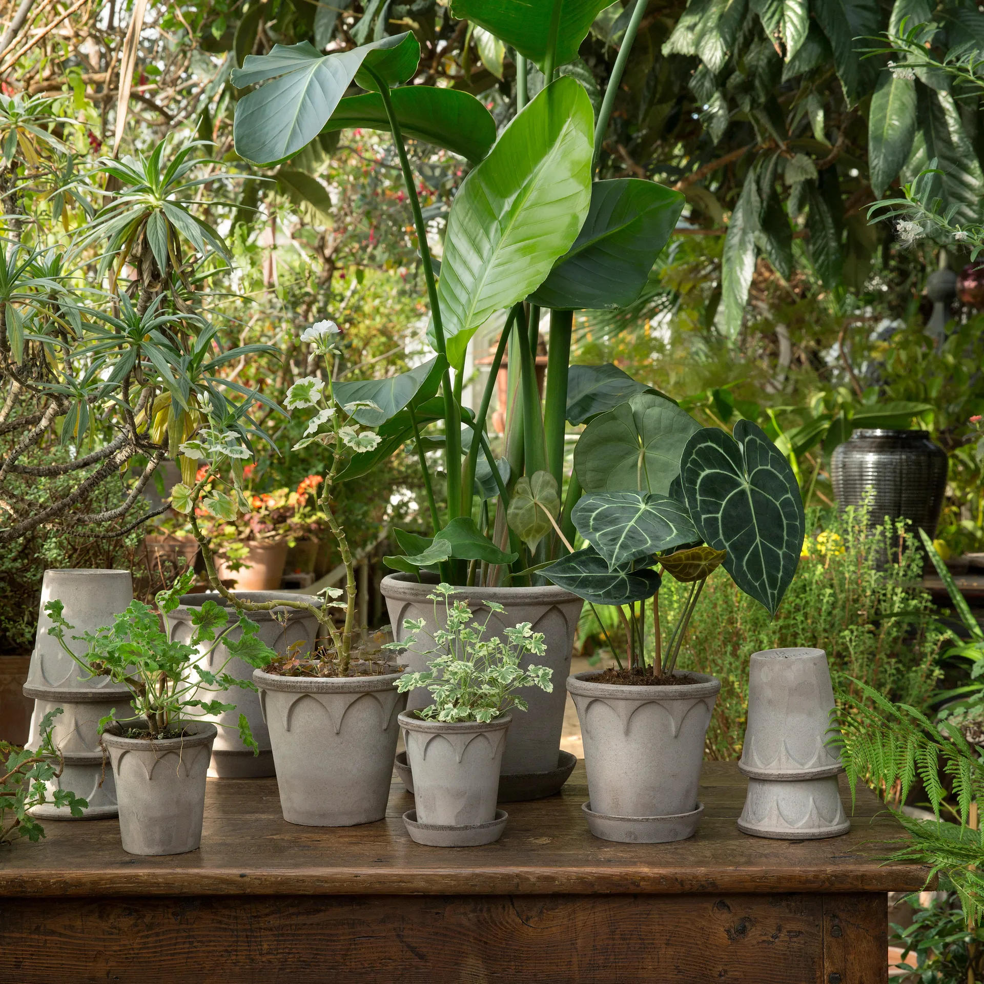 Elizabeth pot Ø14 cm, Grey Bergs Potter