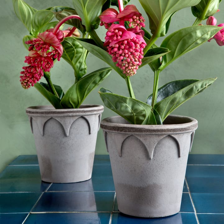 Elizabeth pot Ø16 cm, Grey Bergs Potter