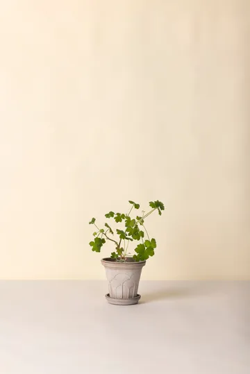 Fleur pot met schotel 2-delig - Grijs, Ø16 cm - Bergs Potter