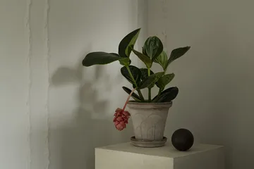 Fleur pot met schotel 2-delig - Grijs, Ø18 cm - Bergs Potter