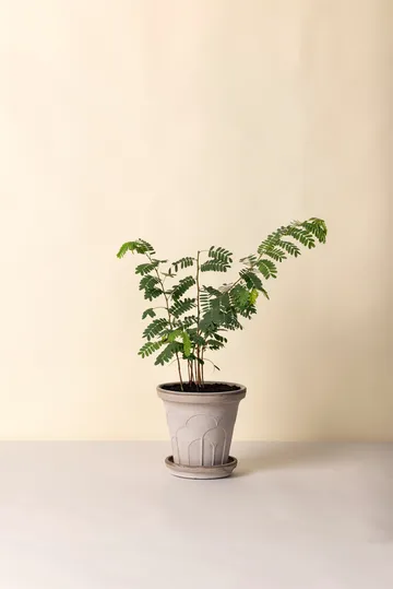 Fleur pot met schotel 2-delig - Grijs, Ø21 cm - Bergs Potter