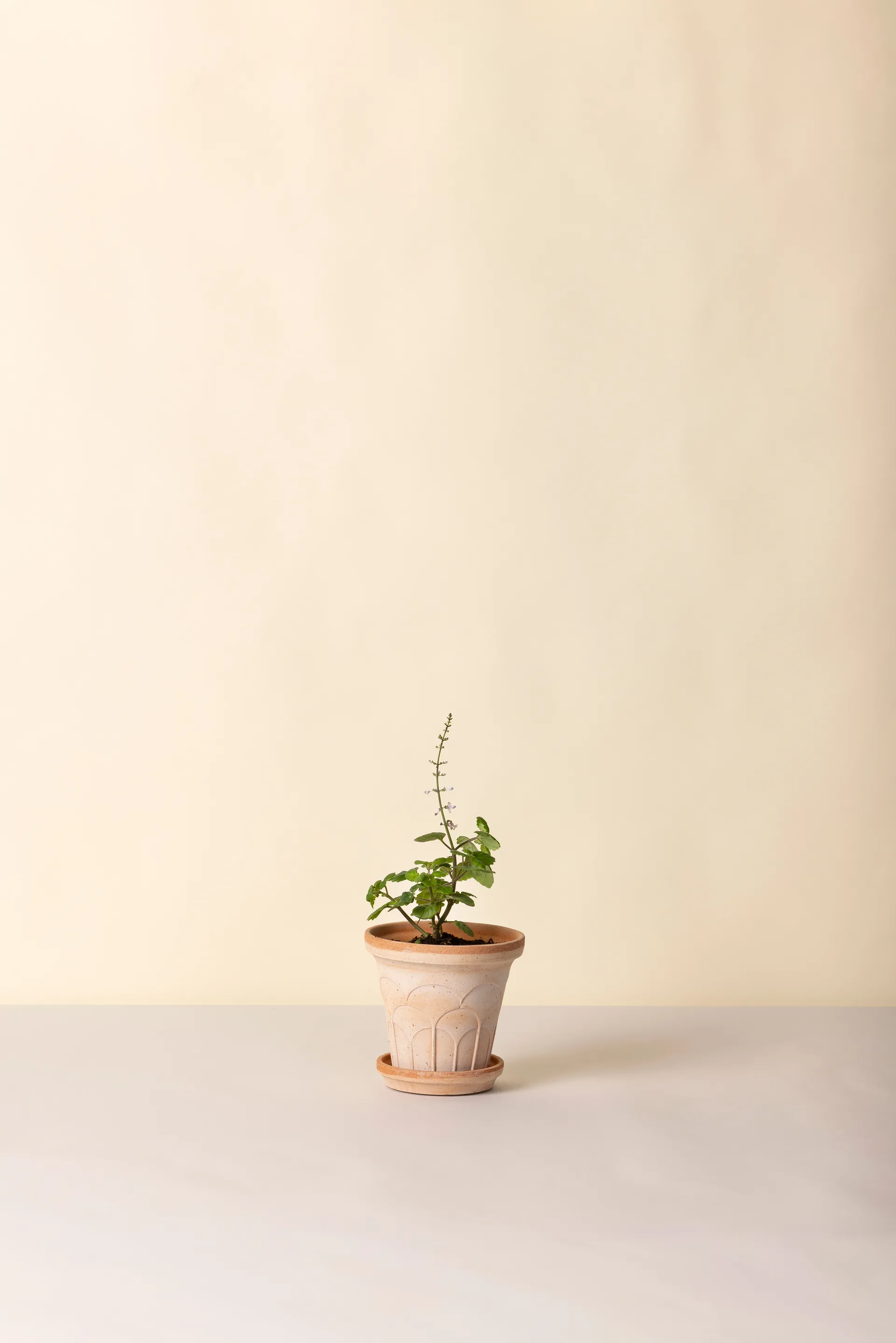 Fleur pot met schotel 2-delig, Roze, Ø14 m Bergs Potter