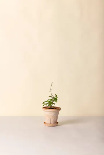 Fleur pot met schotel 2-delig - Roze, Ø14 m - Bergs Potter