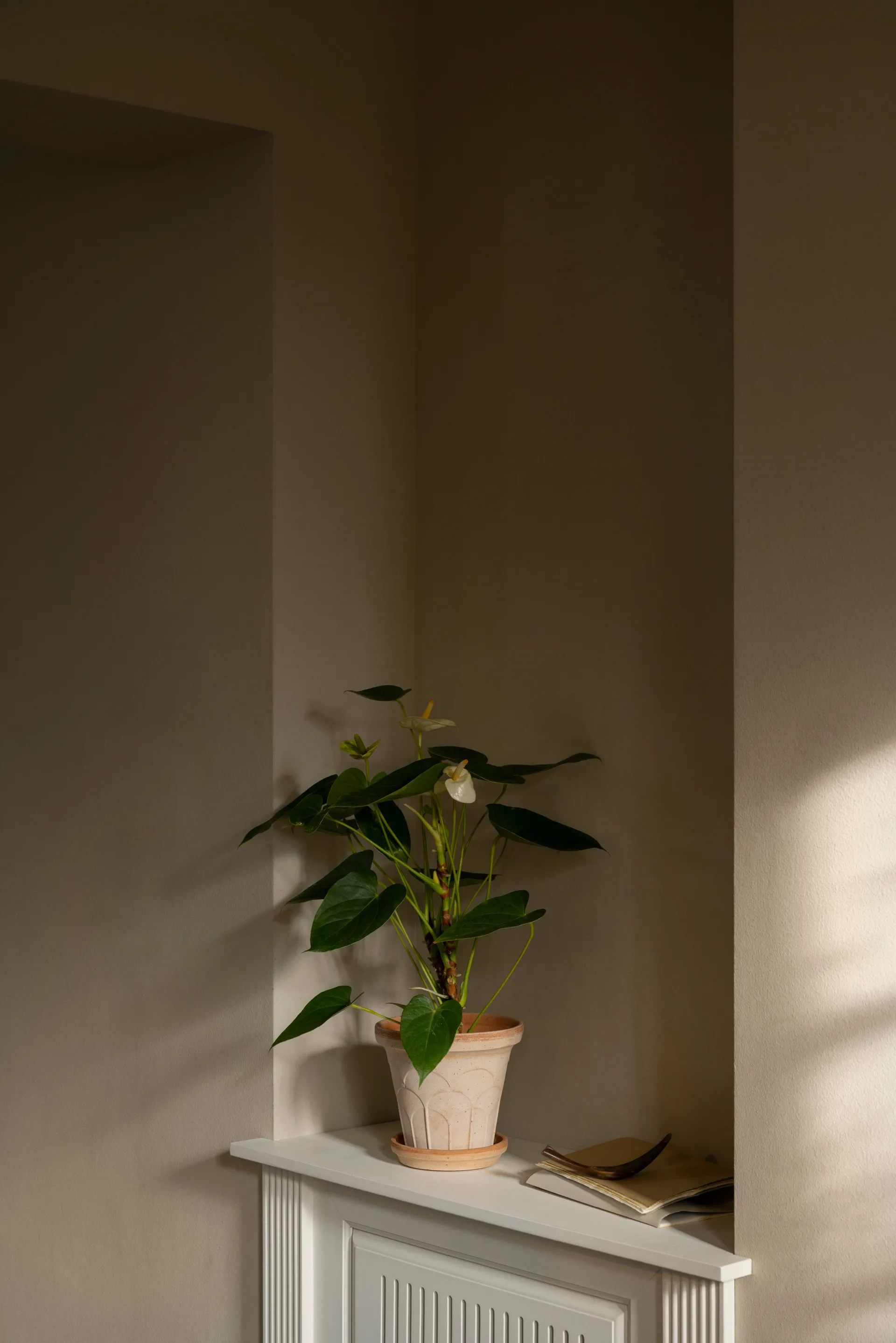 Fleur pot met schotel 2-delig, Roze, Ø16 cm Bergs Potter