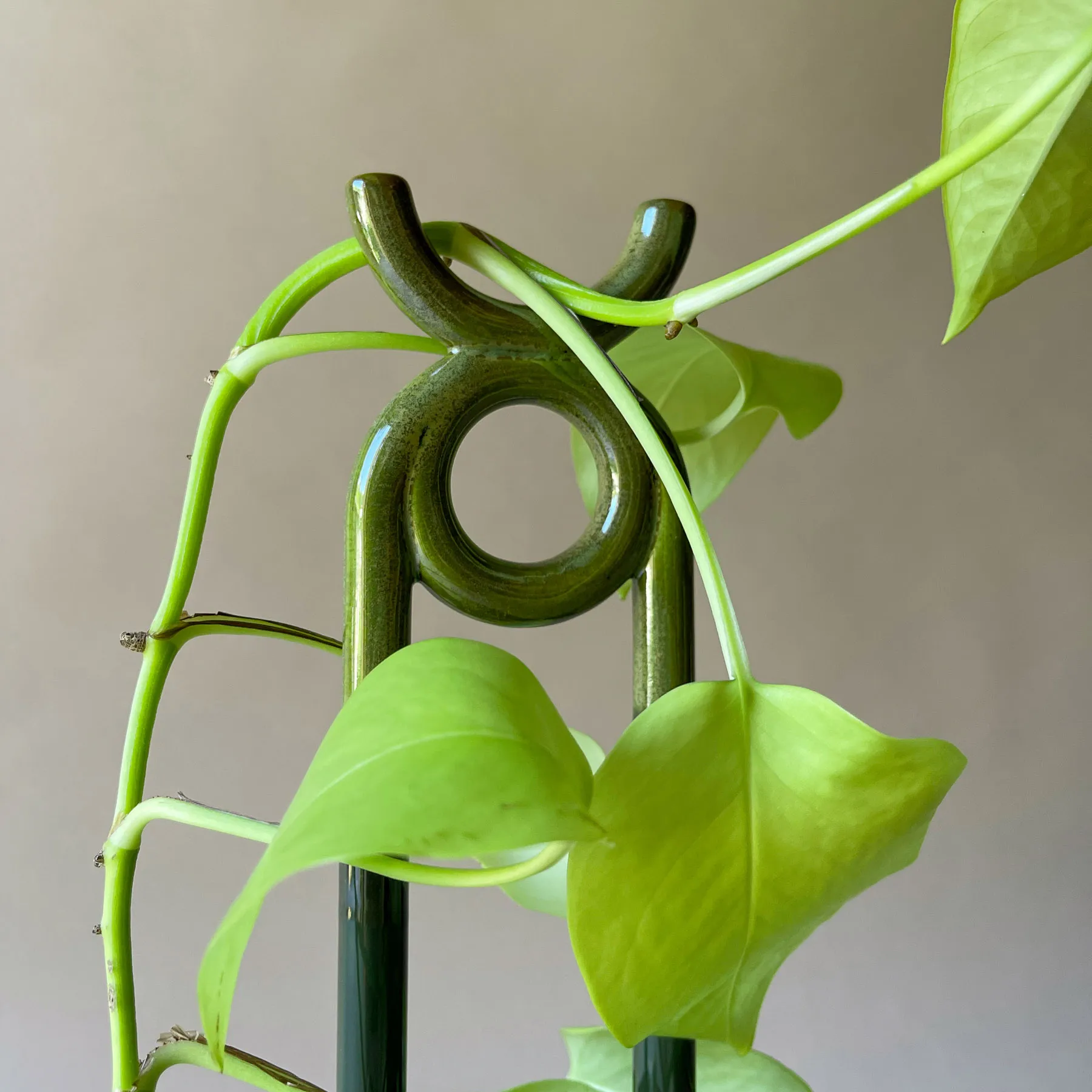 Folk Oni plantensteun, Moss green Bergs Potter