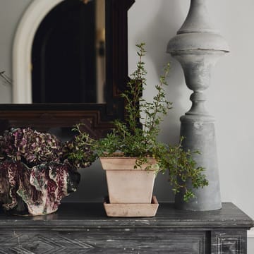 Gaia raw bloempot - Rosa, Ø21 cm - Bergs Potter