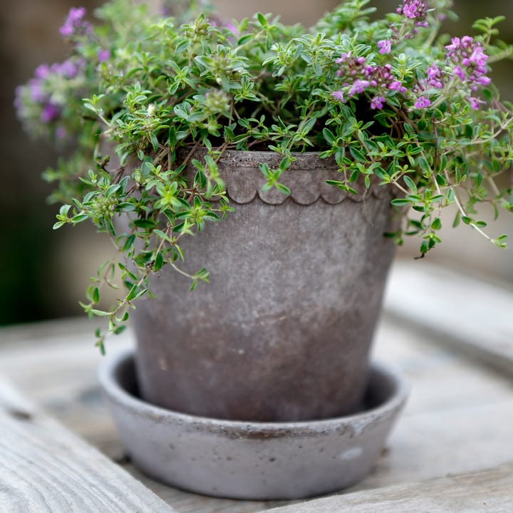 Helena pot Ø10 cm, Grijs Bergs Potter