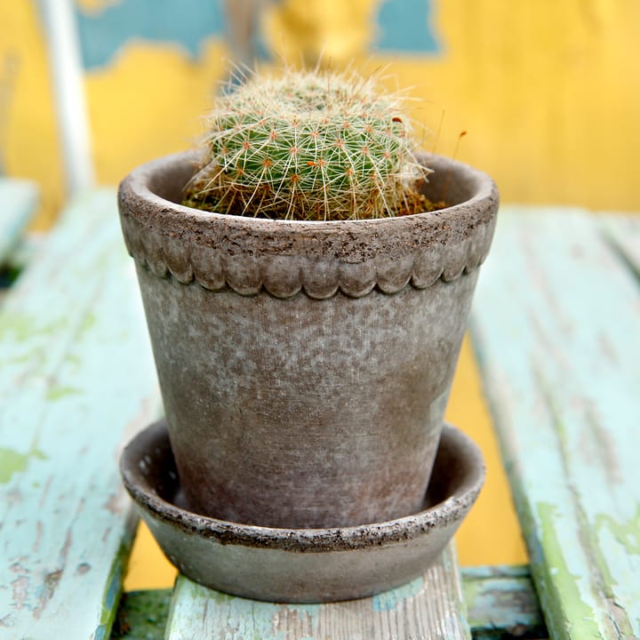 Helena pot Ø10 cm, Grijs Bergs Potter