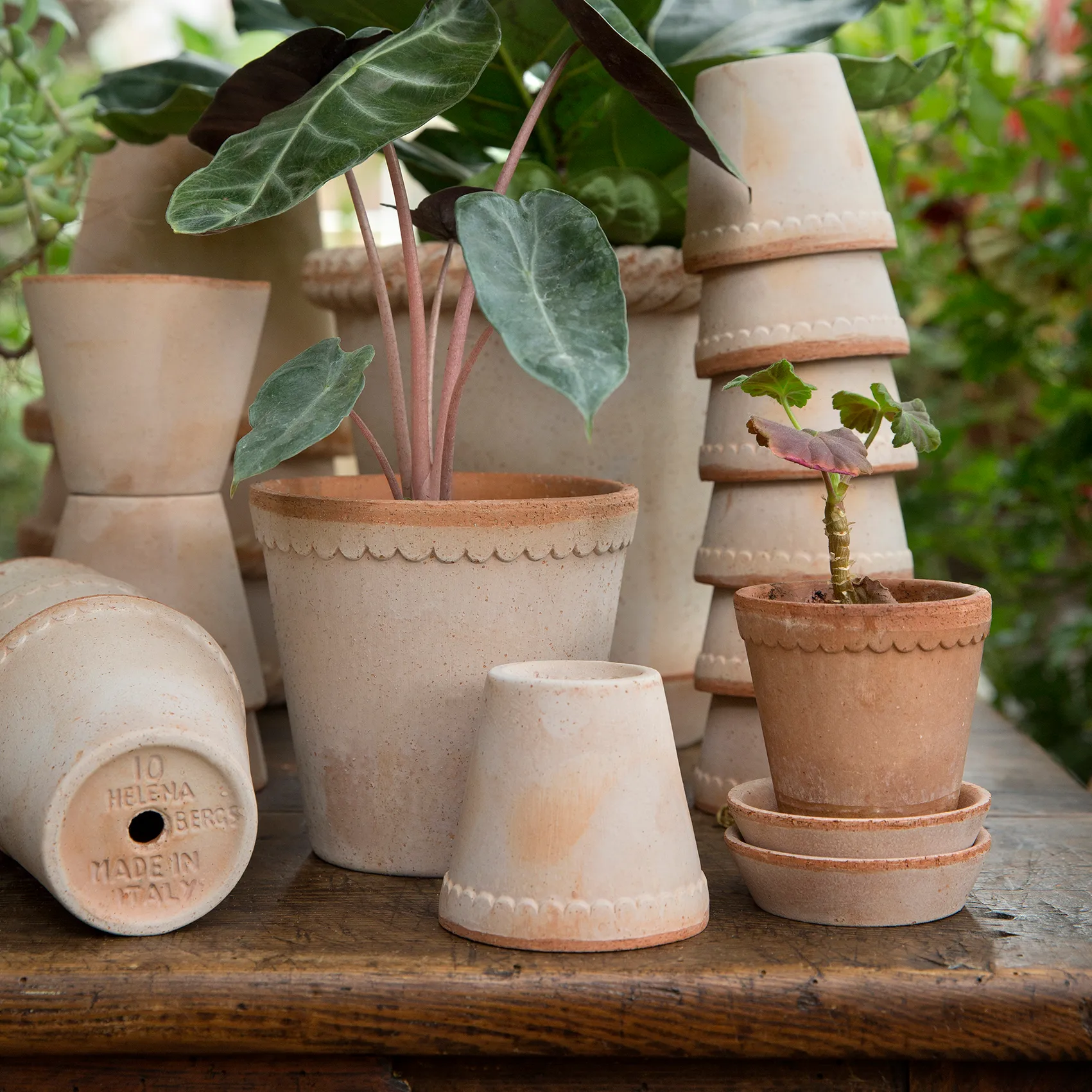 Helena pot Ø10 cm, Roze Bergs Potter