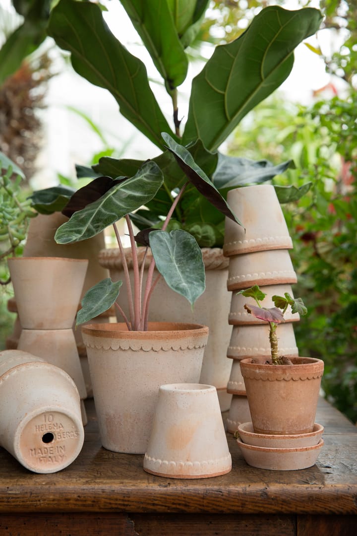Helena pot Ø12 cm, Roze Bergs Potter