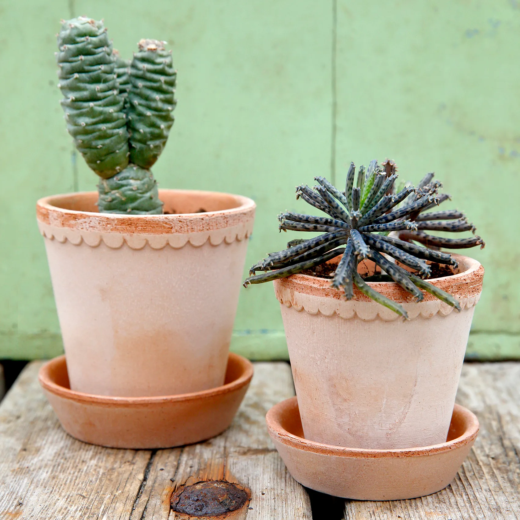 Helena pot Ø14 cm, Roze Bergs Potter