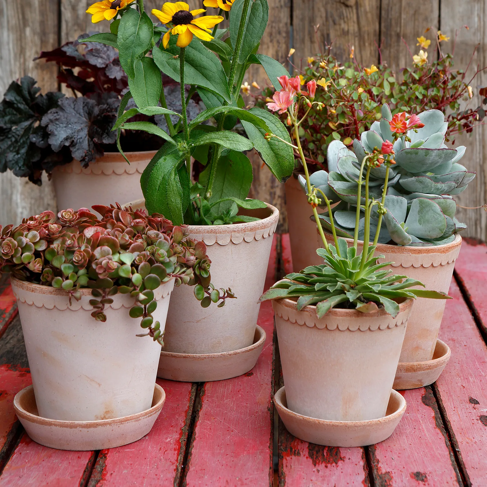 Helena pot Ø16 cm, Roze Bergs Potter