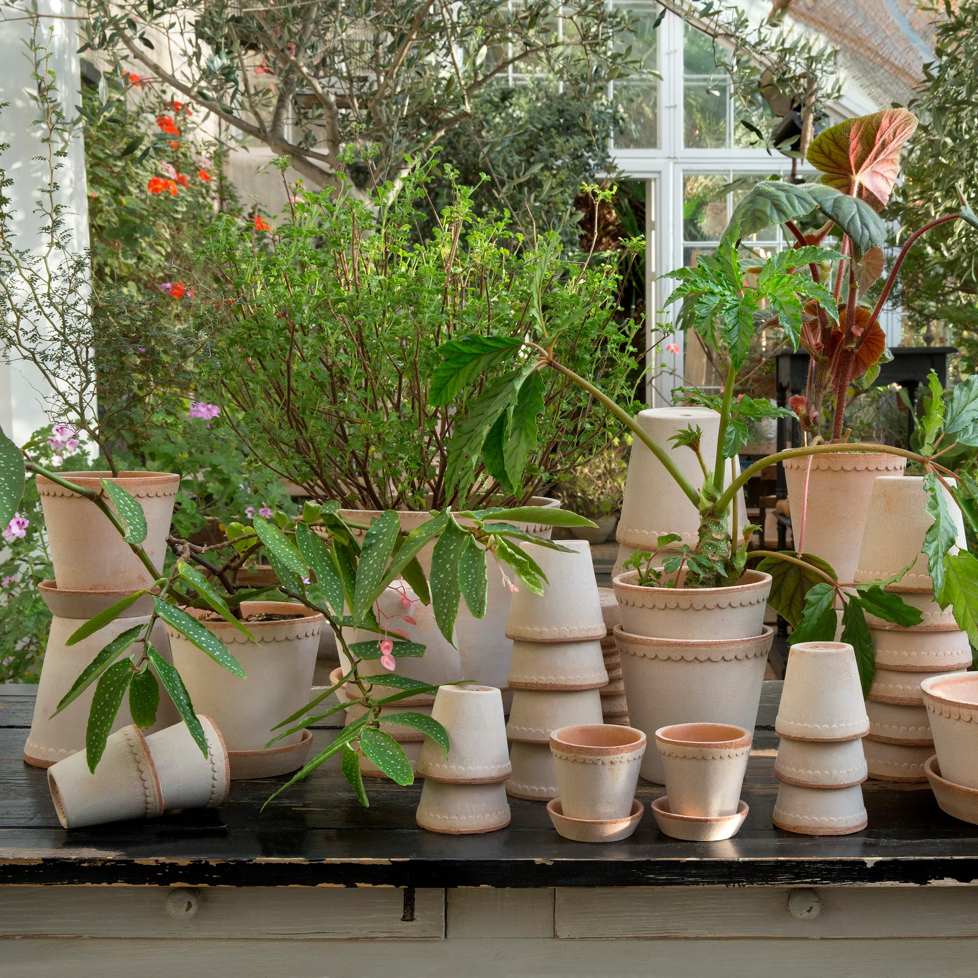 Helena pot Ø16 cm, Roze Bergs Potter